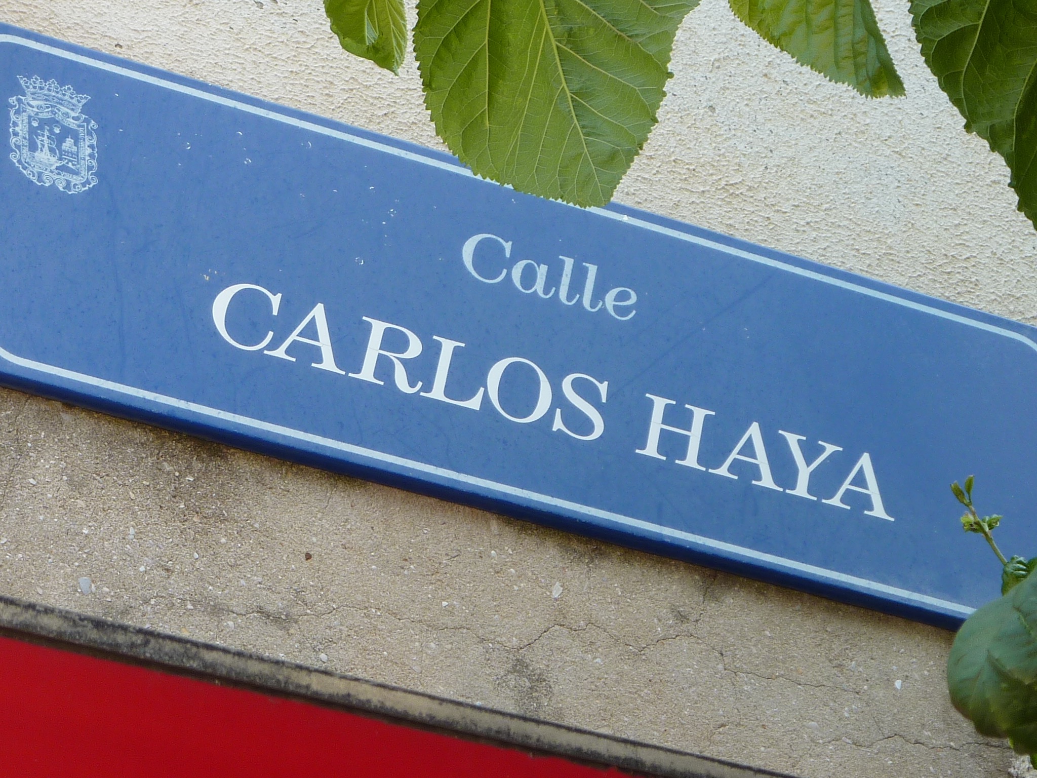 Carlos Haya