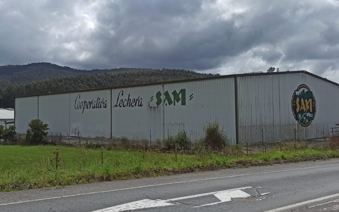 Estado actual de una de las naves de la fabrica en Renedo. Desmemoriados